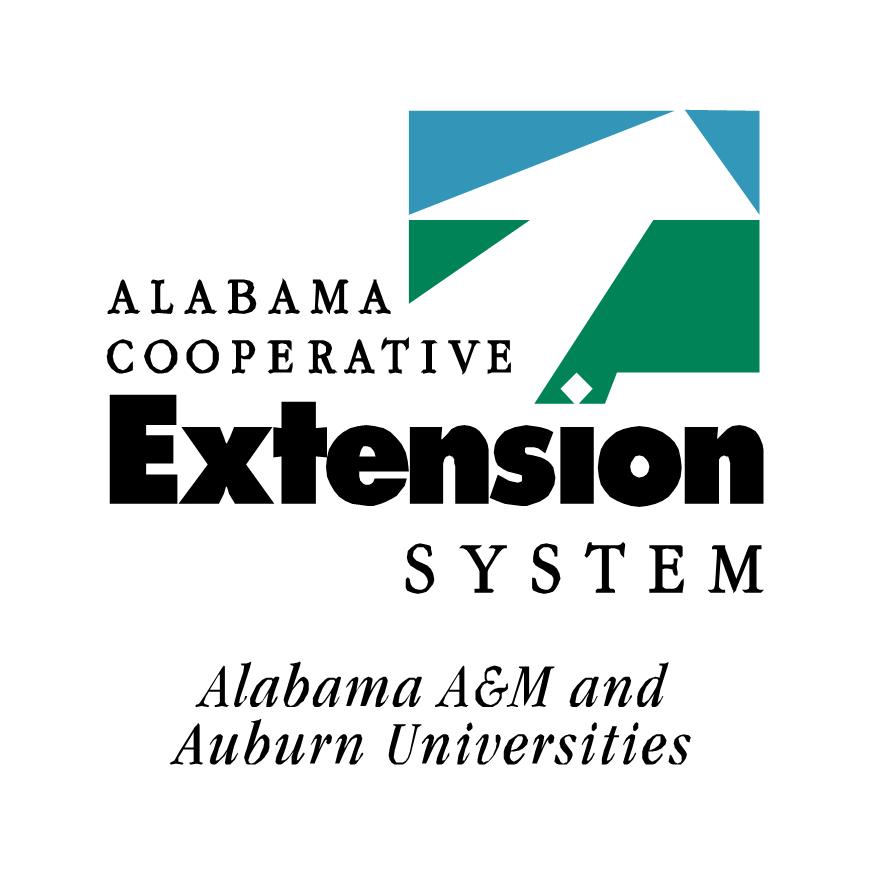 ACES Logo