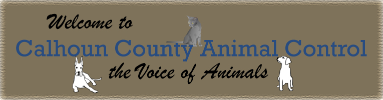 AnimalMainLogo